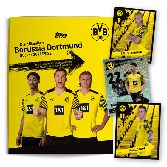 Mini Álbum Completo Oficial - BVB Borussia Dortmund